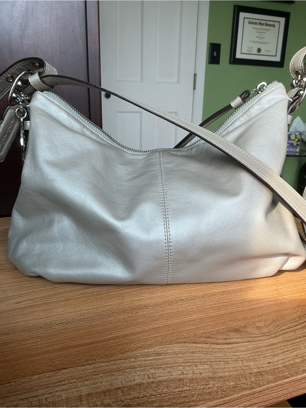 Coach Women's Metallic Silver Leather Shoulder Bag